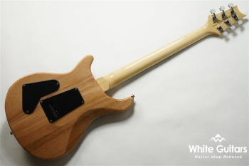 SE Custom 24 - Faded Blue Burst